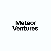 Meteor Ventures LLC logo - Similar company to Vb Consulting Group