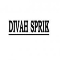 Divah Sprik Consultancy Pvt Ltd logo - Similar company to Digideck Consulting