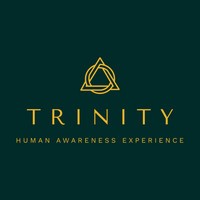 Trinity 9 logo - Similar company to I-Cruit Bv
