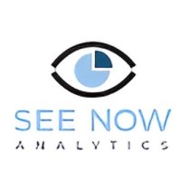 See Now Analytics, Inc logo - Similar company to D2 Solutions Llc