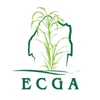 Eswatini Cane Growers Association logo - Similar company to Conecta Consultores Ltda.
