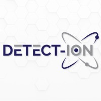 Detect-ION logo - Similar company to Msi Software Solutions