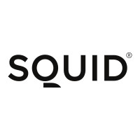 Squid ® A Completely New And Easy Way To Decorate Your Window