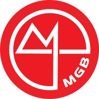 MegaBits VN logo - Similar company to Mentalcureit