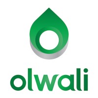 Olwali logo - Similar company to Rijo Studio