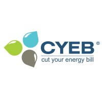 CYEB Group logo - Similar company to Mirrotron Ltd.