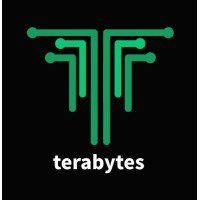 TeraBytes Inc. logo - Similar company to Terabyte