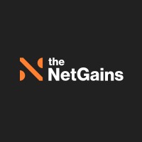 The Net Gains Newsletter logo - Similar company to Mint Pillow Newsletter