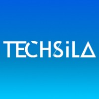 Techsila LLC logo - Similar company to Develign