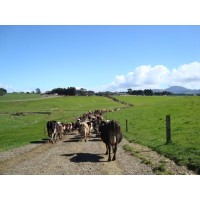 Empowering Rural Women through Mentoring and Leadership logo - Similar company to Marsh Governance