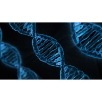 Genomics logo - Similar company to Quantlab@Melbourne