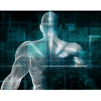 Bodyhacker Network logo - Similar company to It'S A New Day!