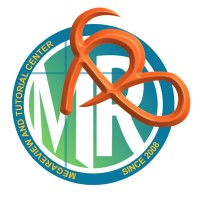 Megareview and Tutorial Center logo - Similar company to Structures-Insight Corporation