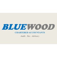Bluewood Chartered Accountants logo - Similar company to Hlb Ca Group Chartered Accountants