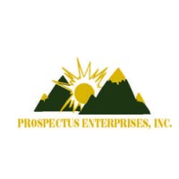 PROSPECTUS ENTERPRISES INC logo - Similar company to Flash ⚡️