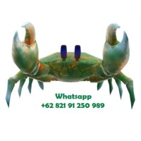 Cahaya Barokah Hidayah - Live Mud Crab Indonesia logo - Similar company to Menatsook