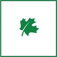 Maple Financial logo - Similar company to Maple Finance