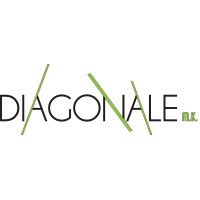 Diagonale m.k. logo - Similar company to We Holding
