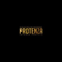 Protenza-Eg logo - Similar company to Eurl Preventis