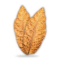 Tobacco International FZC logo - Similar company to Alaaya Llc