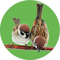 Buurtgezinnen logo - Similar company to Coöperatie Medisch Specialistisch Bedrijf Catharina U.A.