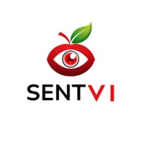 SentVi logo - Similar company to Fms Inc.