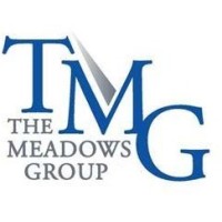 The Meadows Group B.V. logo - Similar company to Servidata Srl