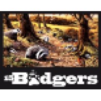 15 Badgers