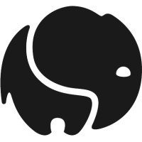 Rogue Studios Us