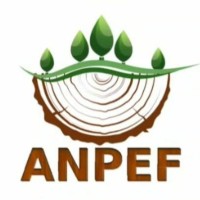 ANPEF - Associação Norte Pioneira de Engenheiros Florestais do Paraná logo - Similar company to Abimci