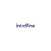 Intranine logo - Similar company to Visyntro