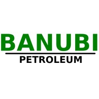 Banubi Petroleum Limited logo - Similar company to Kariba Engineering Services Limited