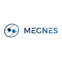 MEGNES logo - Similar company to Bga Mühendislik