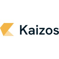 Navilib logo - Similar company to Kaizos