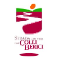 Ass. Strada dei Vini dei Colli Berici logo - Similar company to Winelite