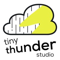 Tiny Thunder Studio logo - Similar company to Spyderweb Dev