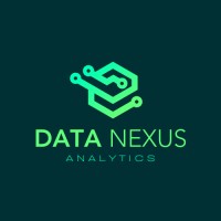 Data Nexus logo - Similar company to Nexus Data