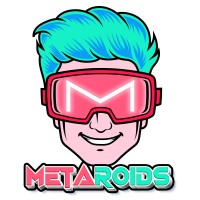 Metaroids logo - Similar company to Zeelr