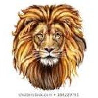 Cyber Lions Security LLC logo - Similar company to Cyber Rabbit Technologies