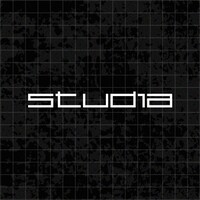 Studia logo - Similar company to Green School