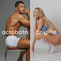Brigitte - Acrobata logo - Similar company to Artfulsa