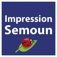 Impression Semoun logo - Similar company to Impression.Cool | Pour Le Retail & Les Marques