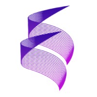 Silicon Solutions logo - Similar company to Silicon Tech Solutions, Inc