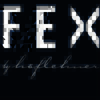 FEX by höflehner logo - Similar company to Aurena Group