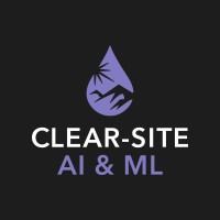 Clear-Site AIML logo - Similar company to Clear-Site Solutions