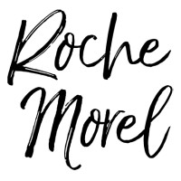 Roche Morel Atelier d'Architecture logo - Similar company to Lsa
