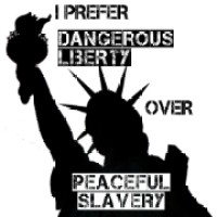 I Prefer Dangerous Liberty logo - Similar company to Open Rebellion