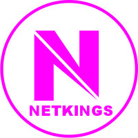 NETKINGS logo - Similar company to Akubridge Solutions || Digital Agency