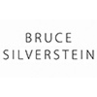 Bruce Silverstein Gallery logo - Similar company to Thorvaldsens Museum