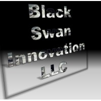 BlackSwan Innovation Partners logo - Similar company to Amg Studios, Llc